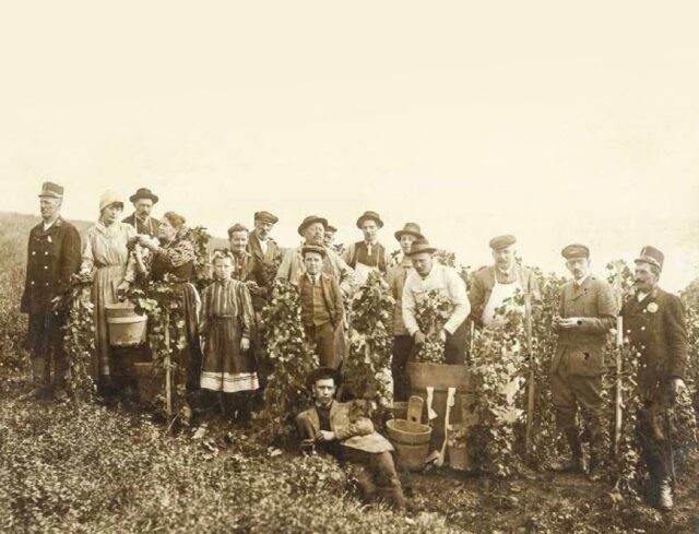 Weinlese bei Sebastian Grünbeck am Schafberg, um 1900, Foto: Bezirksmuseum Hernals