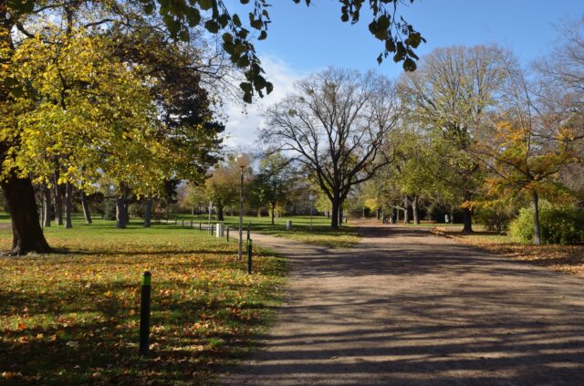 Auer Welsbach-Park, Foto: BM15_Brigitte Neichl 2023, Bezirksmuseum Rudolfsheim-Fünfhaus